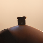 TANNING BRUSH