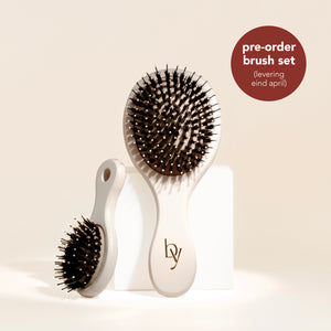 bi yù brush set