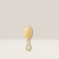 SMALL BRUSH